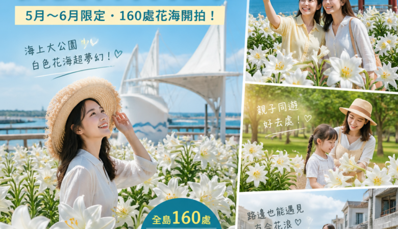 2026 澎湖初夏百合花祭攻略：160處白色花海開拍！5月～6月必去IG打卡景點＆親子約會路線