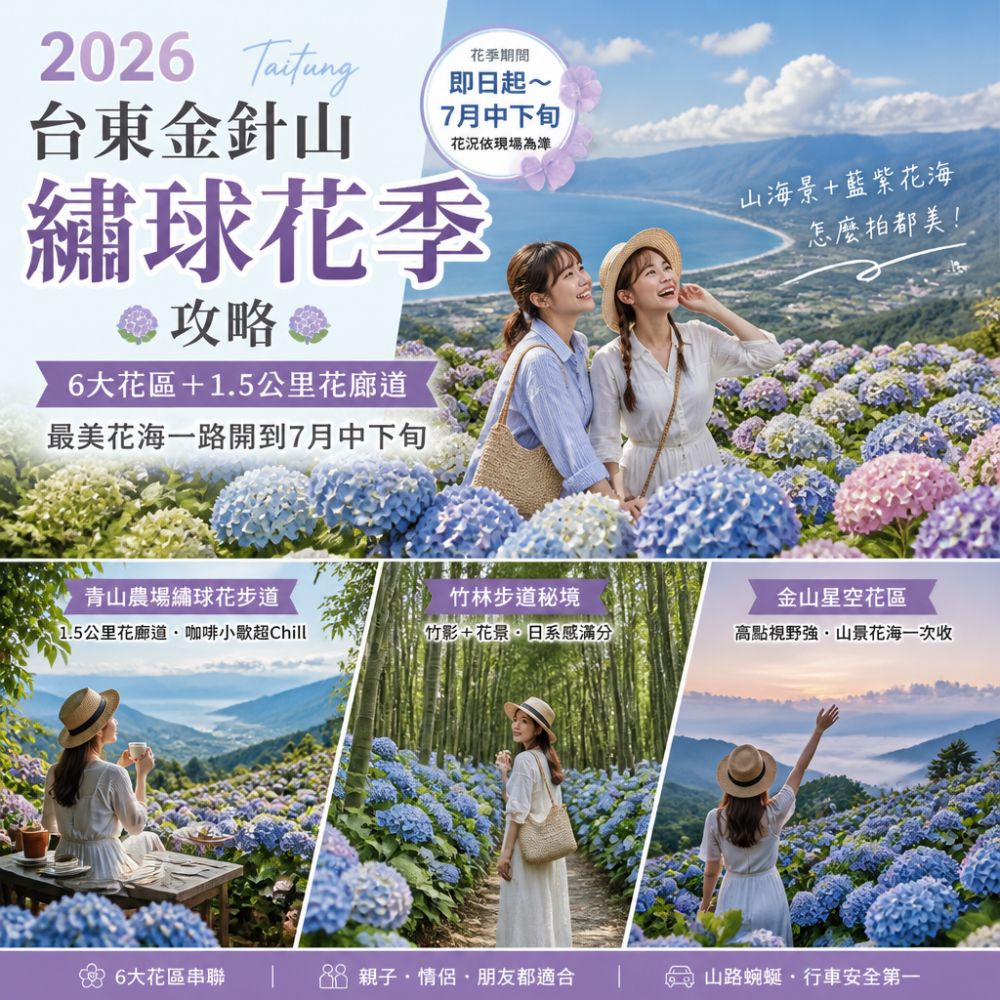 2026台東金針山繡球花季攻略：6大花區＋1.5公里花廊道，最美花海一路開到7月中下旬