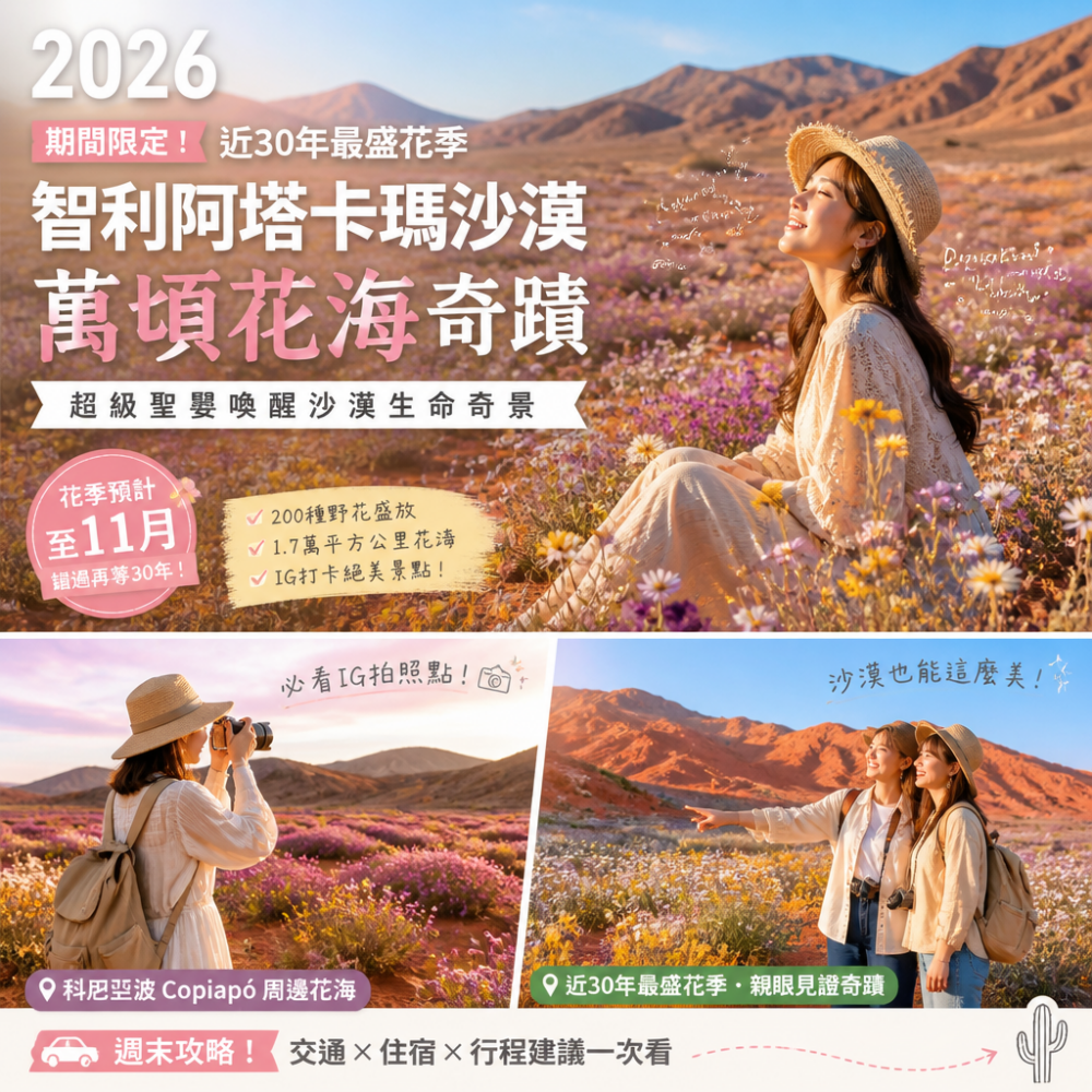 2026 期間限定！智利阿塔卡瑪沙漠「近30年最盛花季」超級聖嬰喚醒萬頃花海：必看IG拍照點與週末攻略